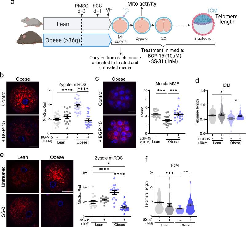 https://cdn.ncbi.nlm.nih.gov/pmc/blobs/f442/11909127/f411f0276b6c/41467_2025_57794_Fig8_HTML.jpg