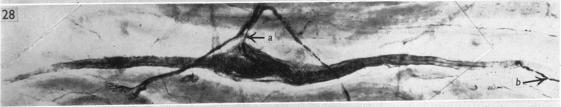 https://cdn.ncbi.nlm.nih.gov/pmc/blobs/f443/1244845/d3ea66a22712/janat00456-0077-f.jpg