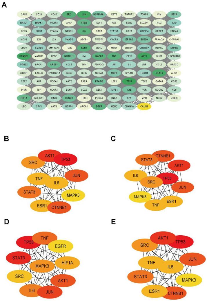 https://cdn.ncbi.nlm.nih.gov/pmc/blobs/f444/10299714/5be5c8cb1541/ijms-24-10370-g004.jpg