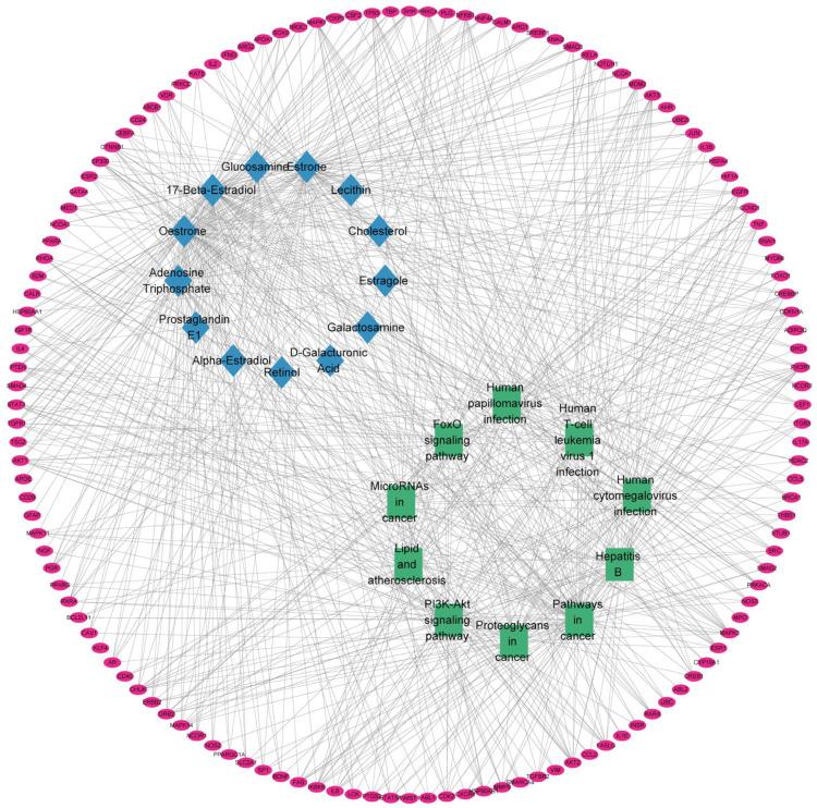 https://cdn.ncbi.nlm.nih.gov/pmc/blobs/f444/10299714/f074b3d9659e/ijms-24-10370-g006.jpg