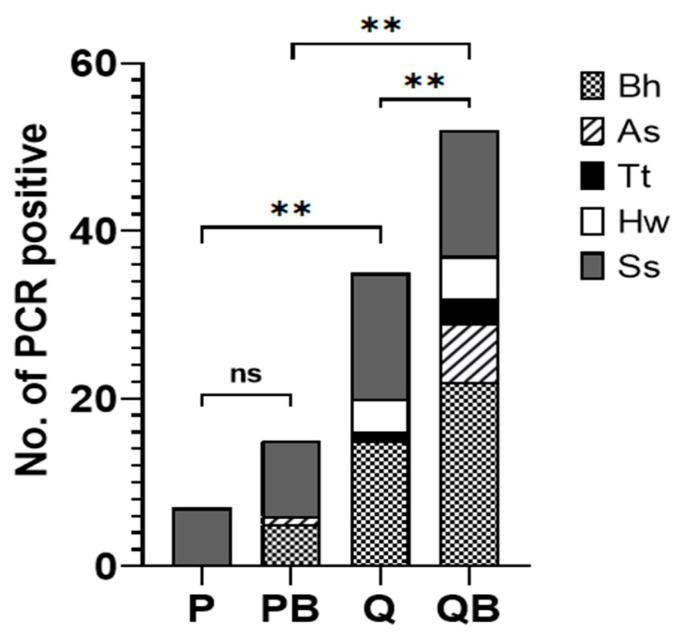 https://cdn.ncbi.nlm.nih.gov/pmc/blobs/f444/9689707/fd51f1341ee4/diagnostics-12-02588-g007.jpg