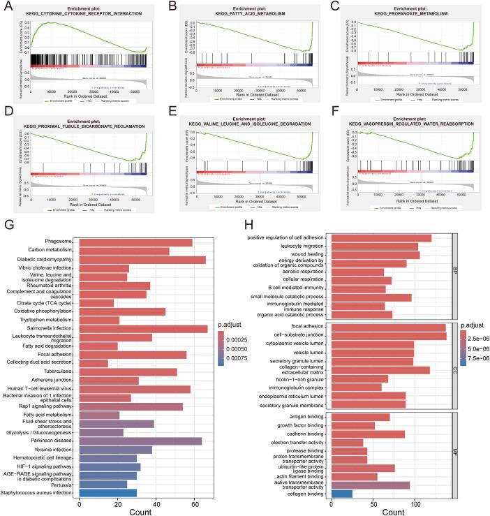 https://cdn.ncbi.nlm.nih.gov/pmc/blobs/f447/12287010/dea6ac017df1/fimmu-16-1619361-g008.jpg