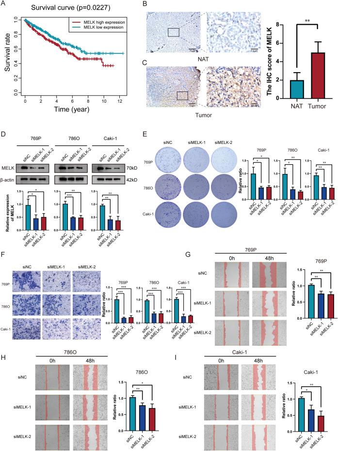 https://cdn.ncbi.nlm.nih.gov/pmc/blobs/f447/12287010/f347941c536e/fimmu-16-1619361-g009.jpg