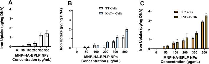 https://cdn.ncbi.nlm.nih.gov/pmc/blobs/f448/12018434/5d336b99ea4c/fbioe-13-1558817-g006.jpg
