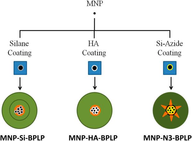https://cdn.ncbi.nlm.nih.gov/pmc/blobs/f448/12018434/7254ae3823df/fbioe-13-1558817-g001.jpg