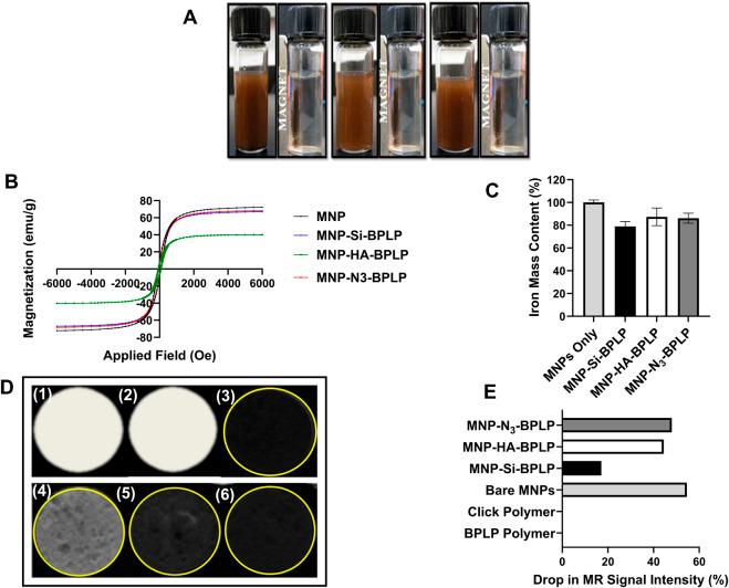 https://cdn.ncbi.nlm.nih.gov/pmc/blobs/f448/12018434/8e0a396e7fdf/fbioe-13-1558817-g003.jpg