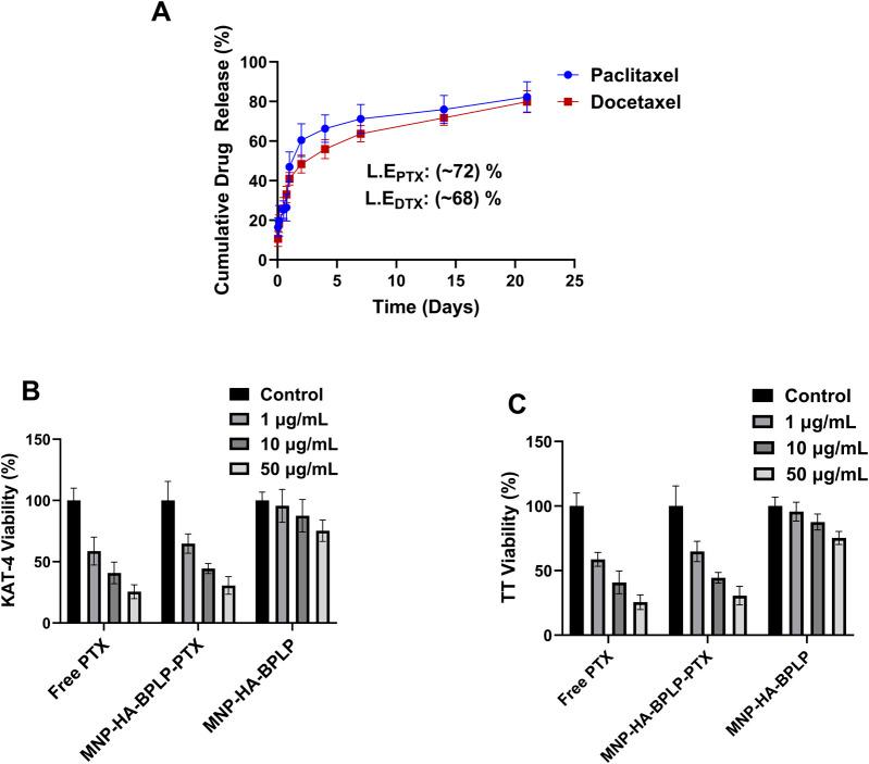 https://cdn.ncbi.nlm.nih.gov/pmc/blobs/f448/12018434/c3e35d9cf9f4/fbioe-13-1558817-g007.jpg