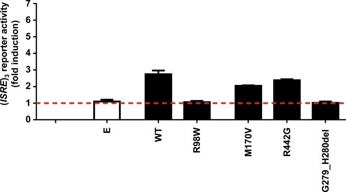 https://cdn.ncbi.nlm.nih.gov/pmc/blobs/f44a/5915175/57620925433c/elife-32340-fig3-figsupp5.jpg