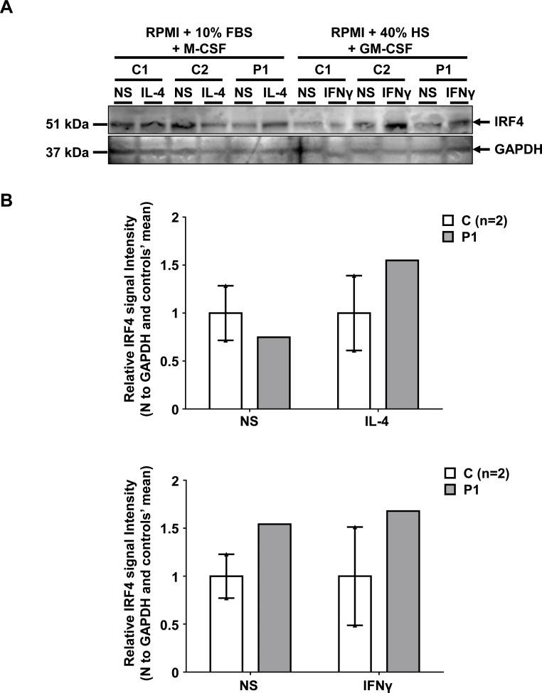 https://cdn.ncbi.nlm.nih.gov/pmc/blobs/f44a/5915175/a7aea75da920/elife-32340-fig5-figsupp3.jpg