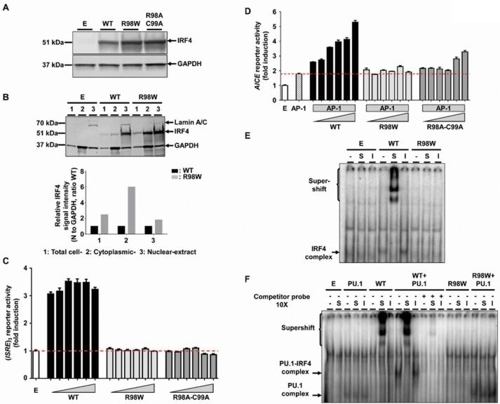 https://cdn.ncbi.nlm.nih.gov/pmc/blobs/f44a/5915175/b24d28737338/elife-32340-fig3.jpg
