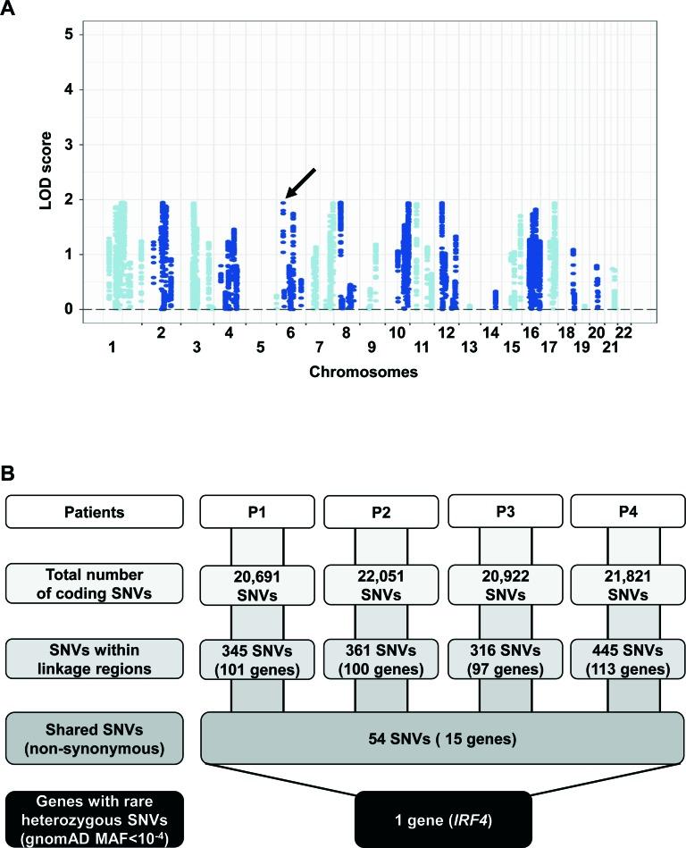 https://cdn.ncbi.nlm.nih.gov/pmc/blobs/f44a/5915175/d8c4ffbbac1f/elife-32340-fig1-figsupp1.jpg
