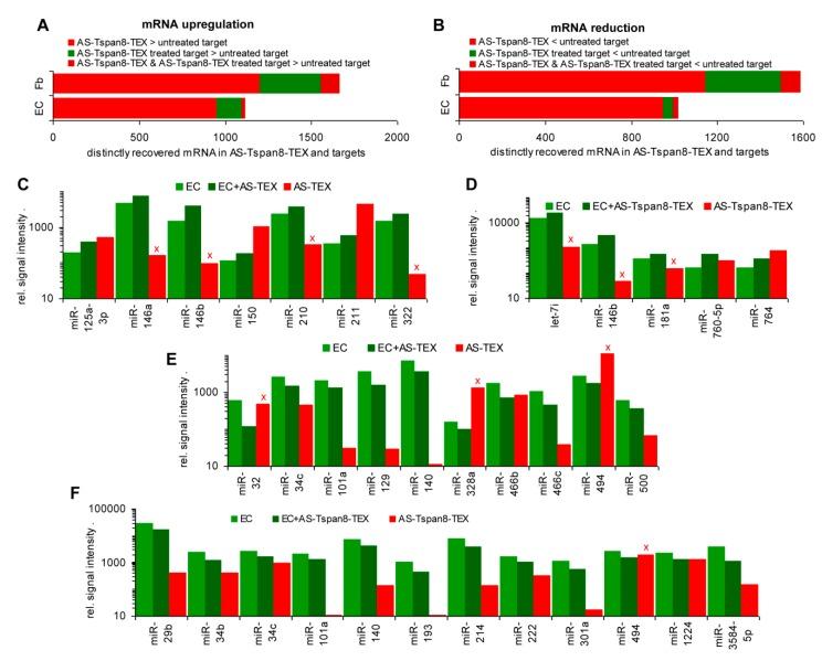 https://cdn.ncbi.nlm.nih.gov/pmc/blobs/f44b/7072212/5ddfbb8558ac/cells-09-00319-g003.jpg