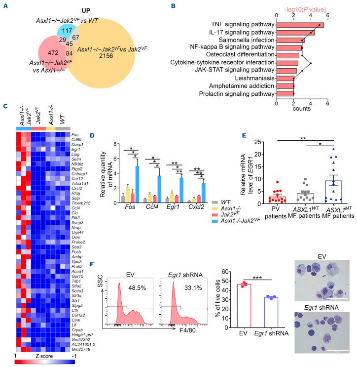 https://cdn.ncbi.nlm.nih.gov/pmc/blobs/f44c/10153516/cd98048a8a4e/1081359.fig7.jpg