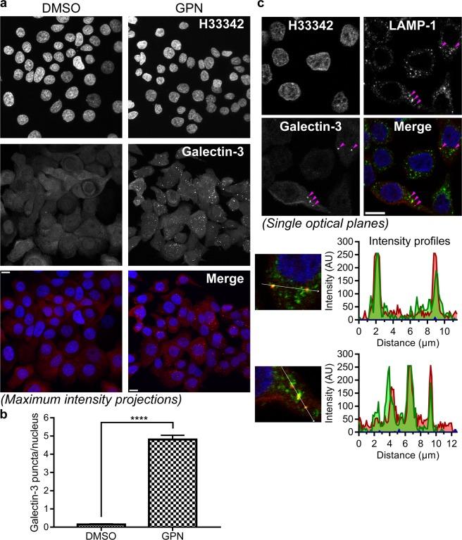 https://cdn.ncbi.nlm.nih.gov/pmc/blobs/f451/6379368/f0c9f3a55abf/41598_2019_38497_Fig3_HTML.jpg