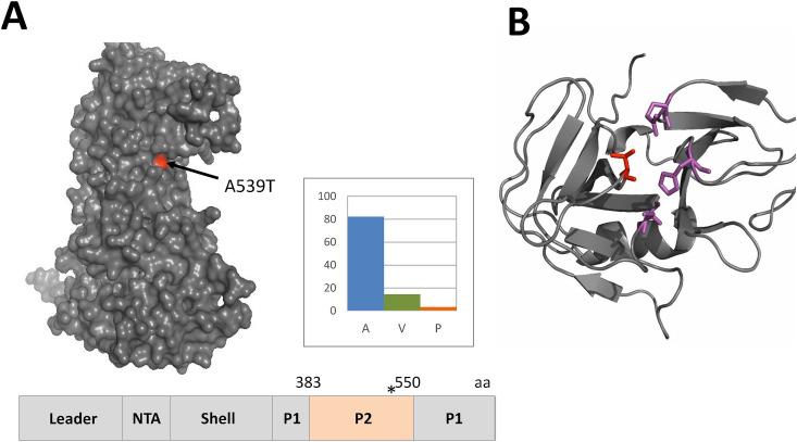 https://cdn.ncbi.nlm.nih.gov/pmc/blobs/f451/7125566/237ba8bc3b90/gr4_lrg.jpg