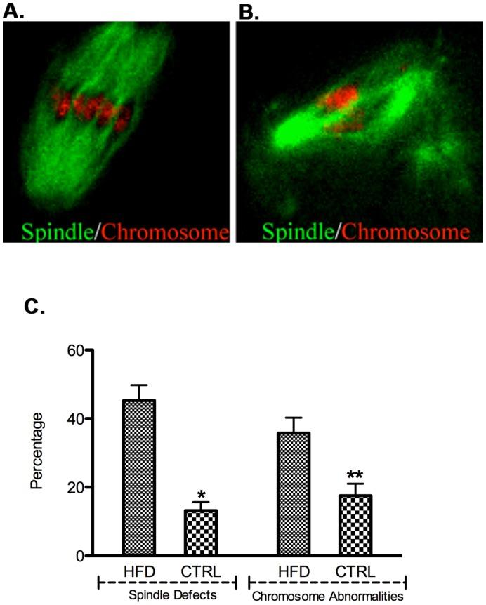https://cdn.ncbi.nlm.nih.gov/pmc/blobs/f452/3495769/5fcfbabcc7f1/pone.0049217.g003.jpg