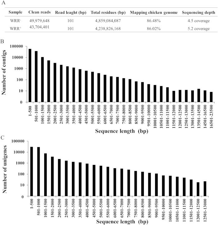 https://cdn.ncbi.nlm.nih.gov/pmc/blobs/f452/4434839/bd8be8e167a6/srep10294-f3.jpg