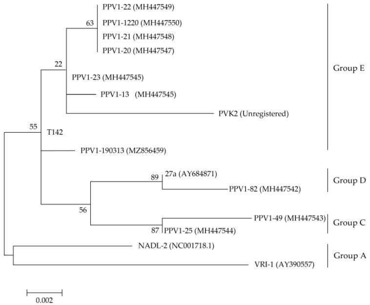 https://cdn.ncbi.nlm.nih.gov/pmc/blobs/f452/9867127/aebad1616fb3/vaccines-11-00054-g001.jpg