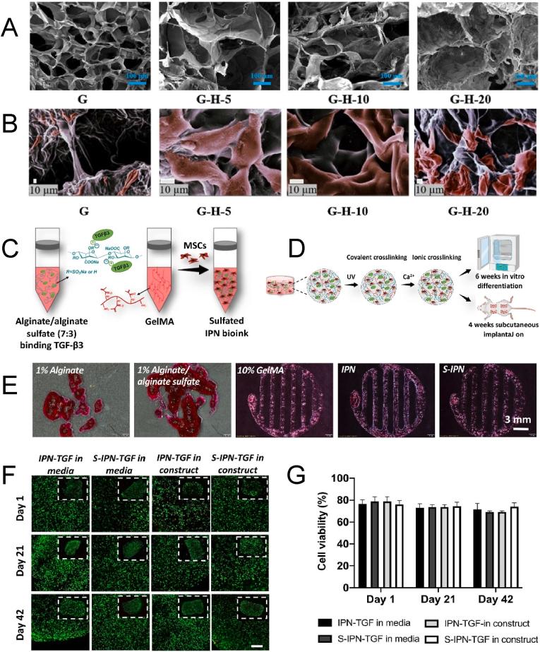 https://cdn.ncbi.nlm.nih.gov/pmc/blobs/f453/10797197/66f04423611a/gr2.jpg