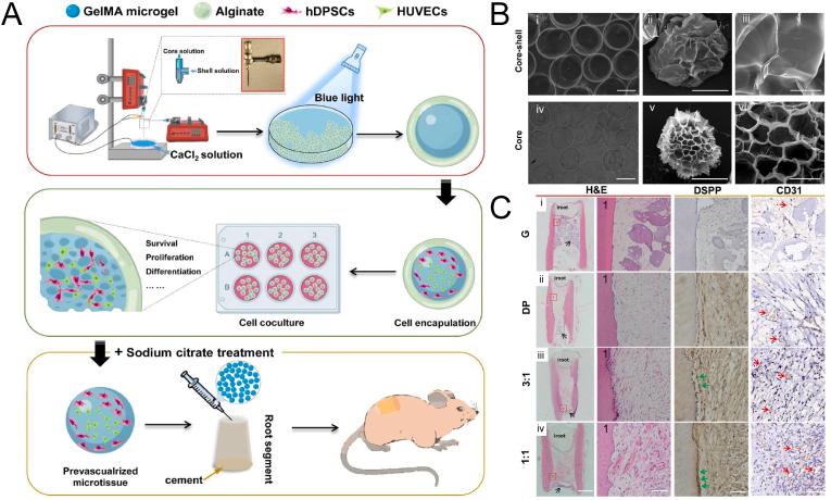 https://cdn.ncbi.nlm.nih.gov/pmc/blobs/f453/10797197/f2312cabd552/gr6.jpg