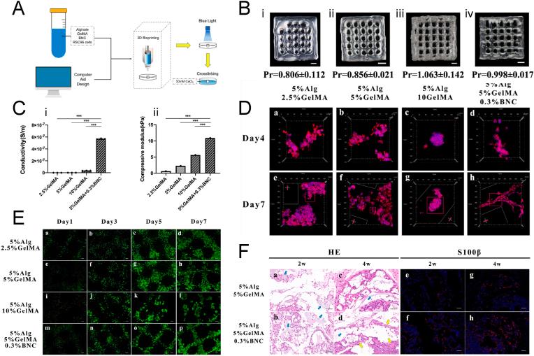 https://cdn.ncbi.nlm.nih.gov/pmc/blobs/f453/10797197/f36f83857ba8/gr5.jpg