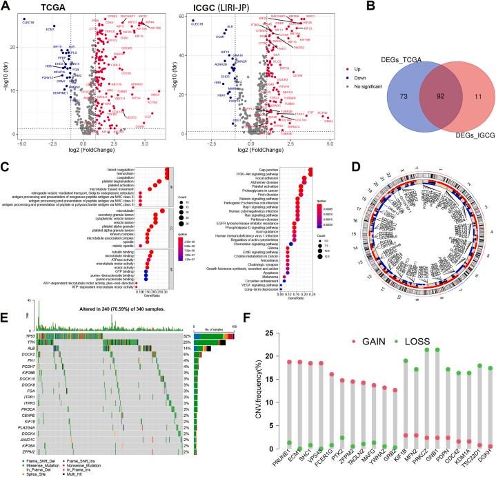 https://cdn.ncbi.nlm.nih.gov/pmc/blobs/f453/10938119/10a62c956112/gr2.jpg