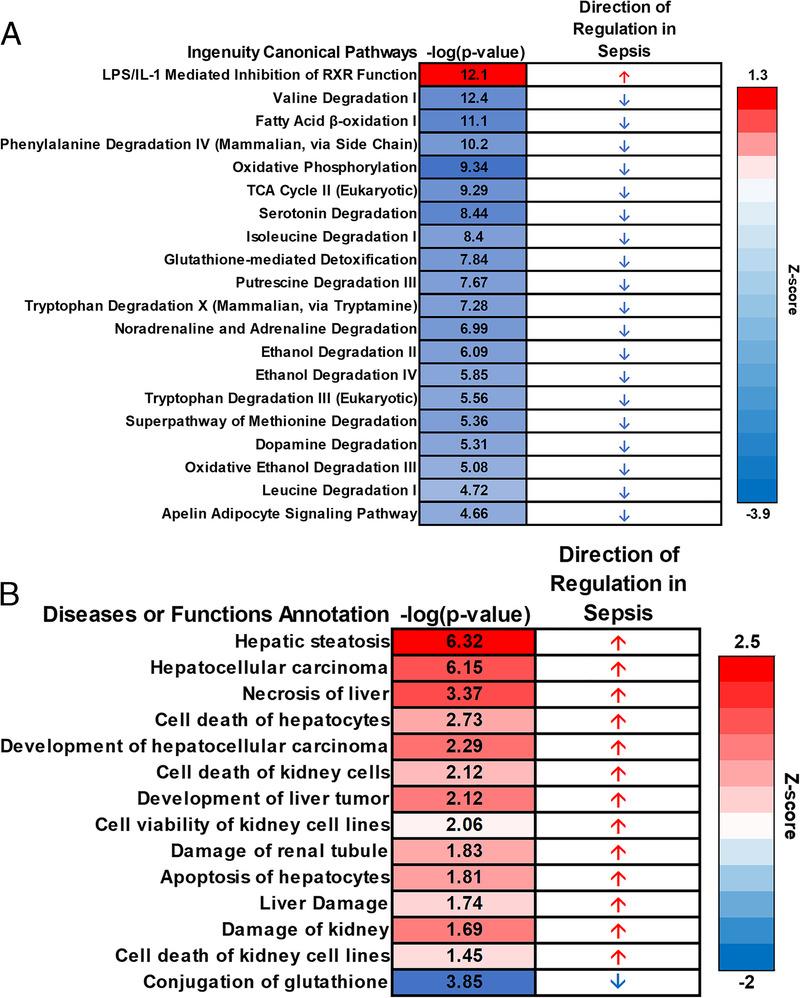 https://cdn.ncbi.nlm.nih.gov/pmc/blobs/f459/9415238/5162c9bac9af/shock-58-20-g003.jpg