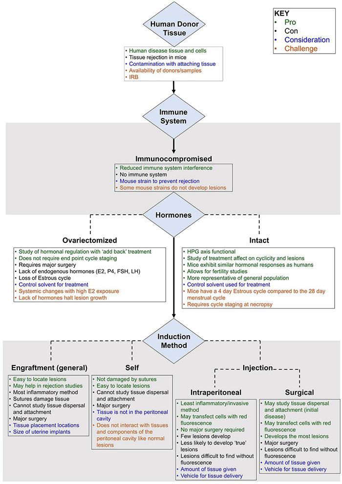https://cdn.ncbi.nlm.nih.gov/pmc/blobs/f45b/8794744/ee535ed79b98/fphys-12-806574-g002.jpg