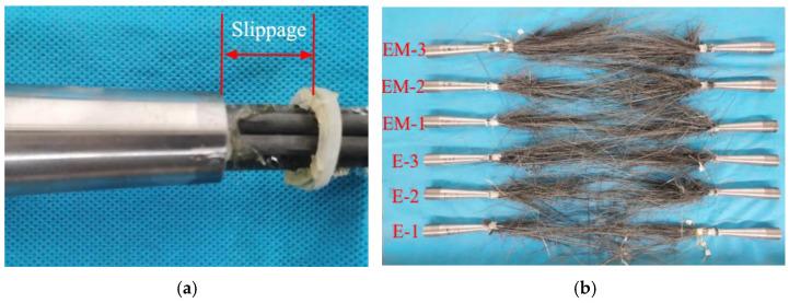https://cdn.ncbi.nlm.nih.gov/pmc/blobs/f45c/9573565/6ea0e90ae0fe/polymers-14-04015-g011.jpg