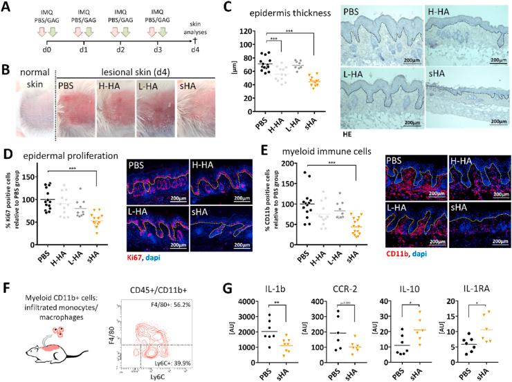https://cdn.ncbi.nlm.nih.gov/pmc/blobs/f45d/8105600/28a71b360a97/gr2.jpg
