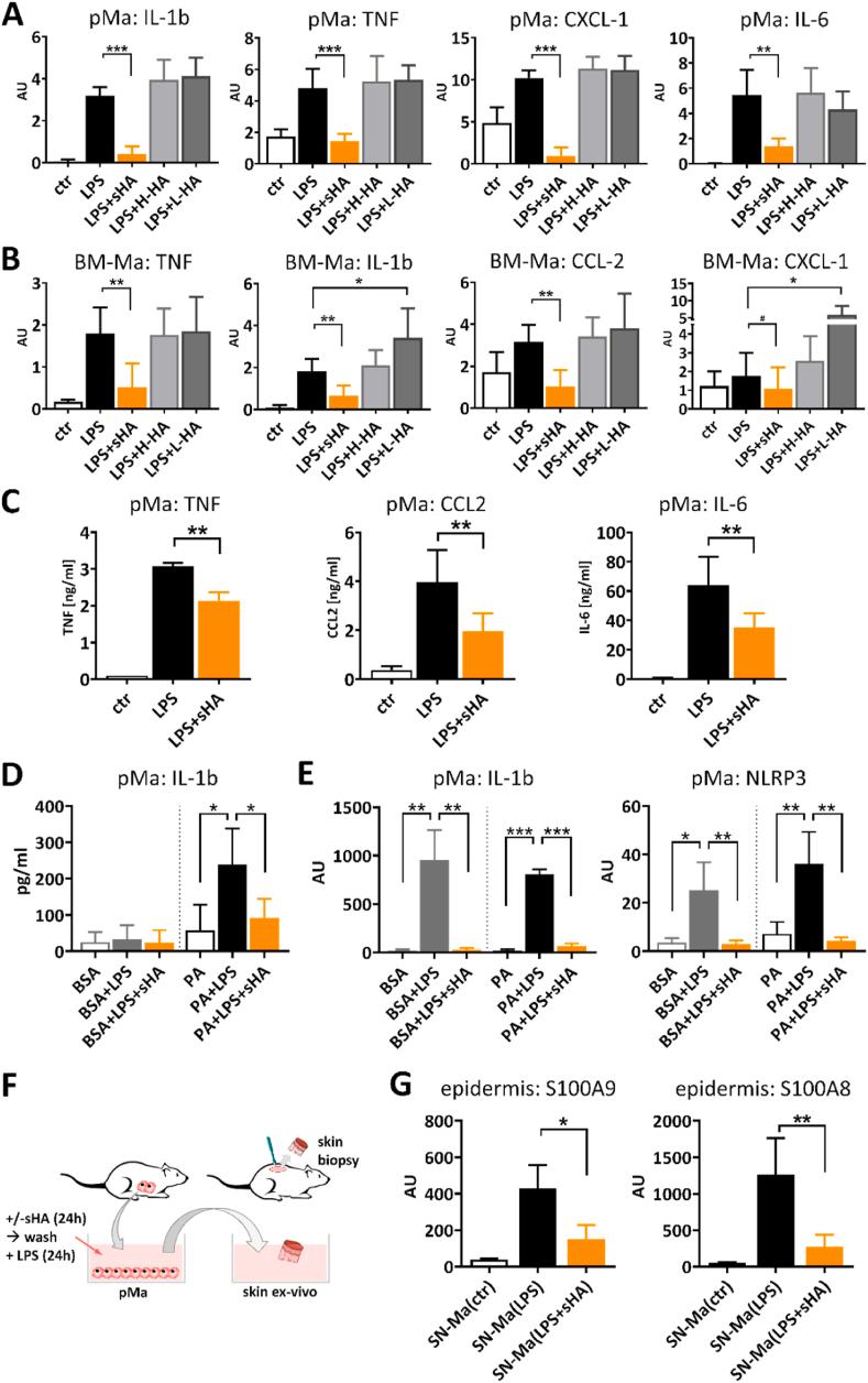 https://cdn.ncbi.nlm.nih.gov/pmc/blobs/f45d/8105600/44ec74d1ff2b/gr1.jpg