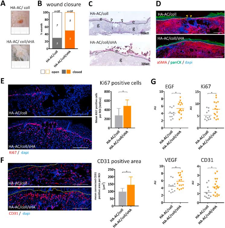 https://cdn.ncbi.nlm.nih.gov/pmc/blobs/f45d/8105600/6866e2175c59/gr6.jpg