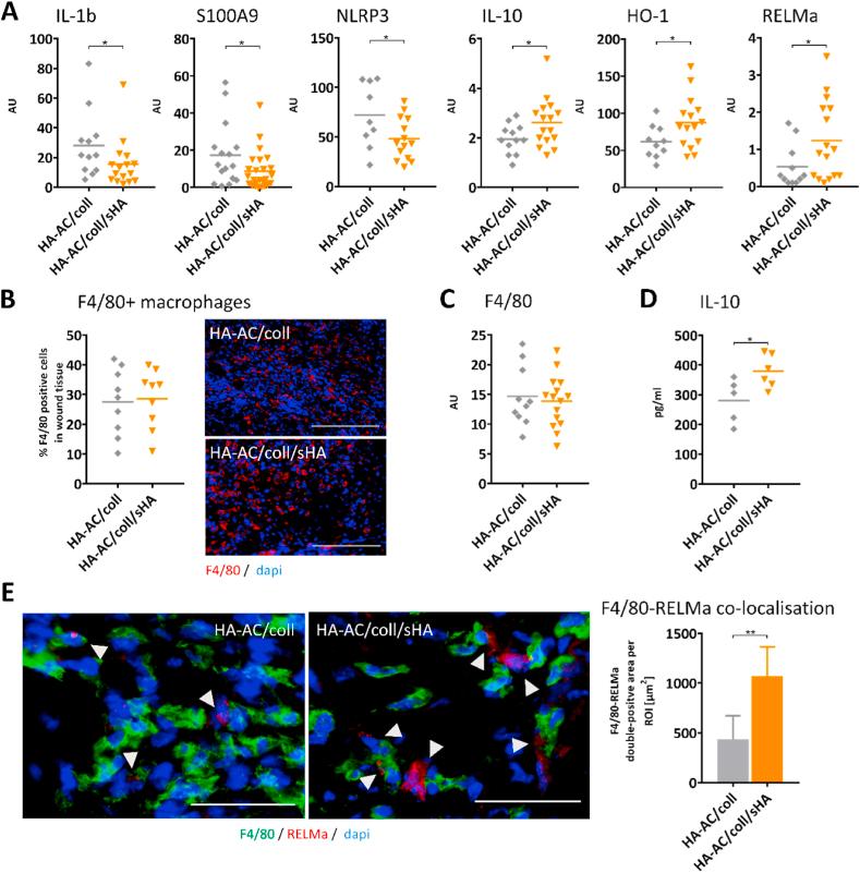 https://cdn.ncbi.nlm.nih.gov/pmc/blobs/f45d/8105600/90b096cc0bcd/gr5.jpg