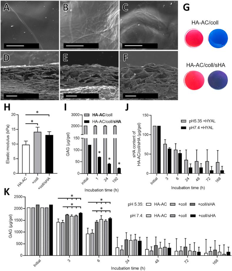 https://cdn.ncbi.nlm.nih.gov/pmc/blobs/f45d/8105600/b9302c011ae9/gr4.jpg