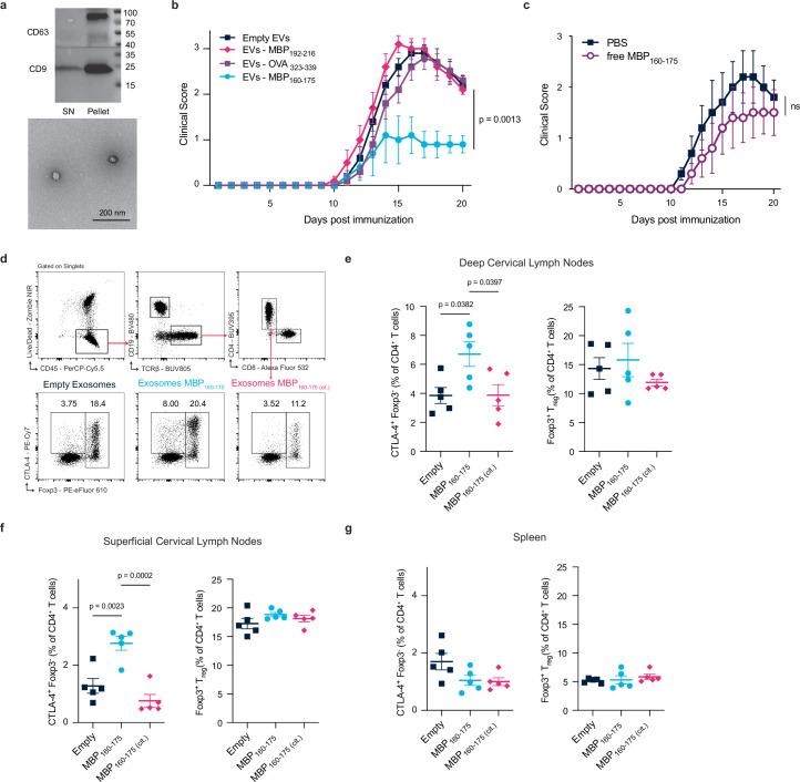https://cdn.ncbi.nlm.nih.gov/pmc/blobs/f45f/11666455/ccc04145d9e0/41586_2024_8279_Fig12_ESM.jpg