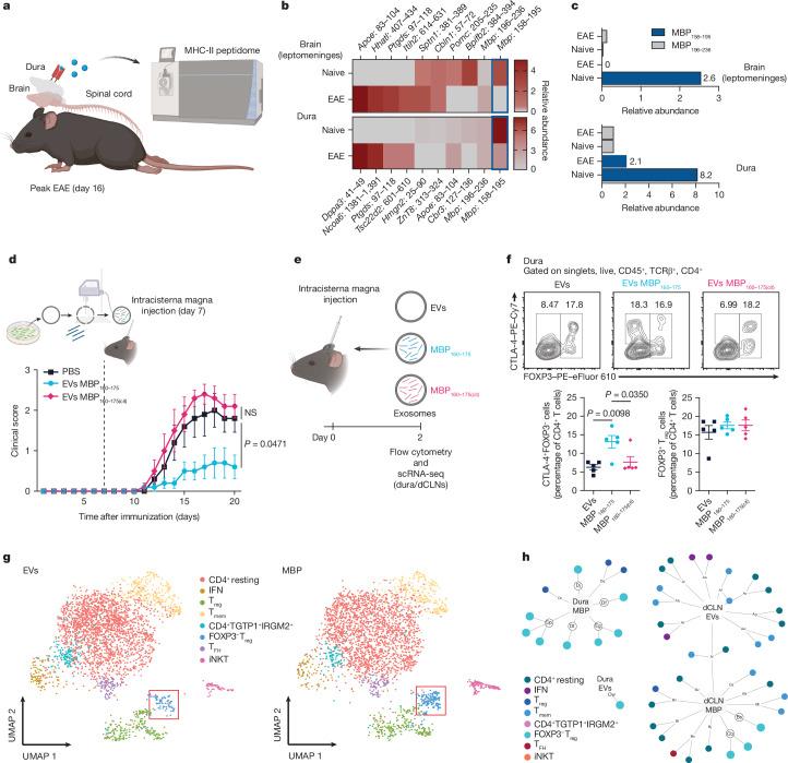 https://cdn.ncbi.nlm.nih.gov/pmc/blobs/f45f/11666455/f398880432e6/41586_2024_8279_Fig3_HTML.jpg