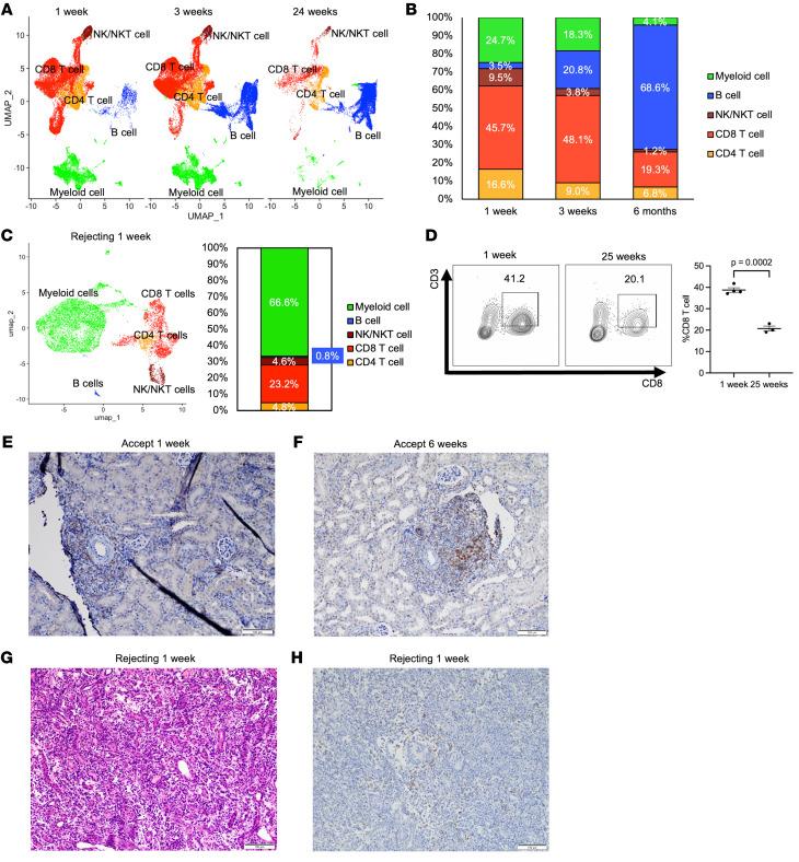 https://cdn.ncbi.nlm.nih.gov/pmc/blobs/f460/11324304/b4aaa4d67696/jci-134-179709-g249.jpg