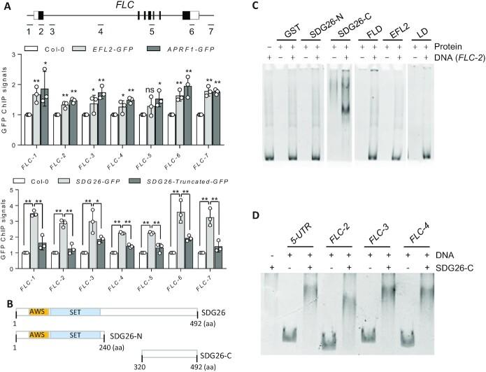 https://cdn.ncbi.nlm.nih.gov/pmc/blobs/f460/9303297/17f89d355d73/gkac551fig3.jpg