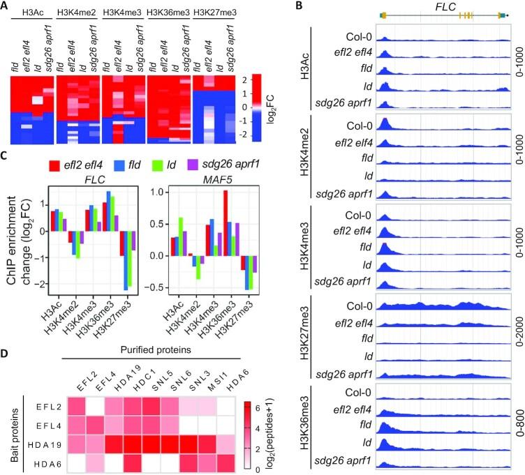 https://cdn.ncbi.nlm.nih.gov/pmc/blobs/f460/9303297/6fc45fef4a64/gkac551fig6.jpg
