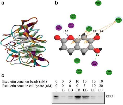 https://cdn.ncbi.nlm.nih.gov/pmc/blobs/f461/5069780/d258c0a15b99/12943_2016_550_Fig6_HTML.jpg