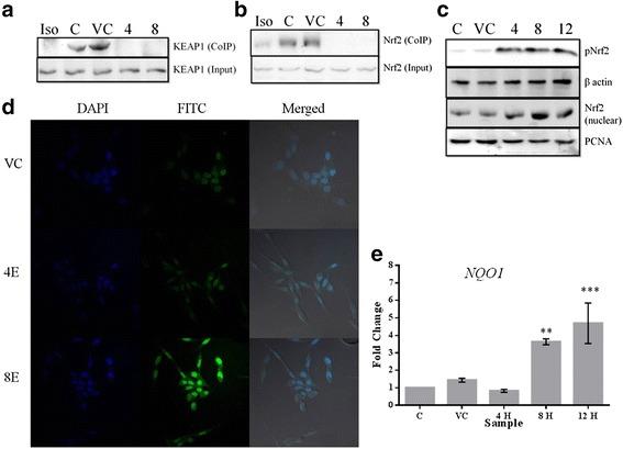 https://cdn.ncbi.nlm.nih.gov/pmc/blobs/f461/5069780/f10b67dce589/12943_2016_550_Fig5_HTML.jpg