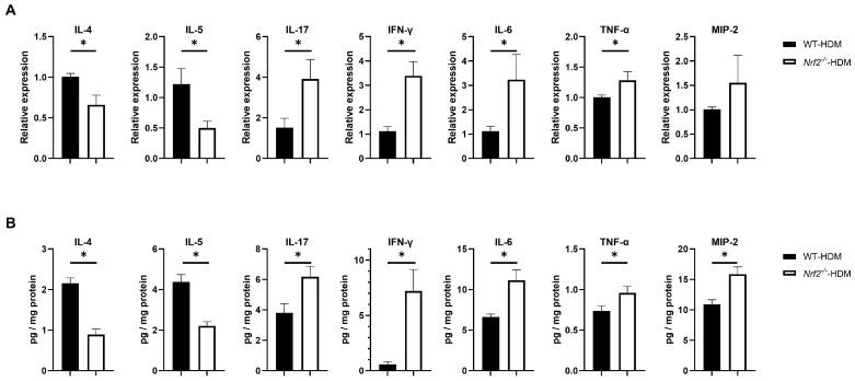 https://cdn.ncbi.nlm.nih.gov/pmc/blobs/f462/11274244/f5171e22b0d4/antioxidants-13-00818-g004.jpg