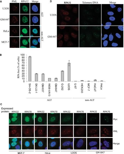 https://cdn.ncbi.nlm.nih.gov/pmc/blobs/f462/2175364/153b14d2c571/gkm738f1.jpg