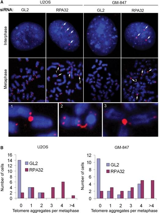 https://cdn.ncbi.nlm.nih.gov/pmc/blobs/f462/2175364/c9ccf0a641b1/gkm738f6.jpg
