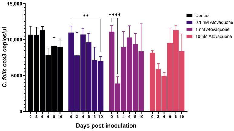 https://cdn.ncbi.nlm.nih.gov/pmc/blobs/f463/11279574/774304c150b5/pathogens-13-00565-g005.jpg