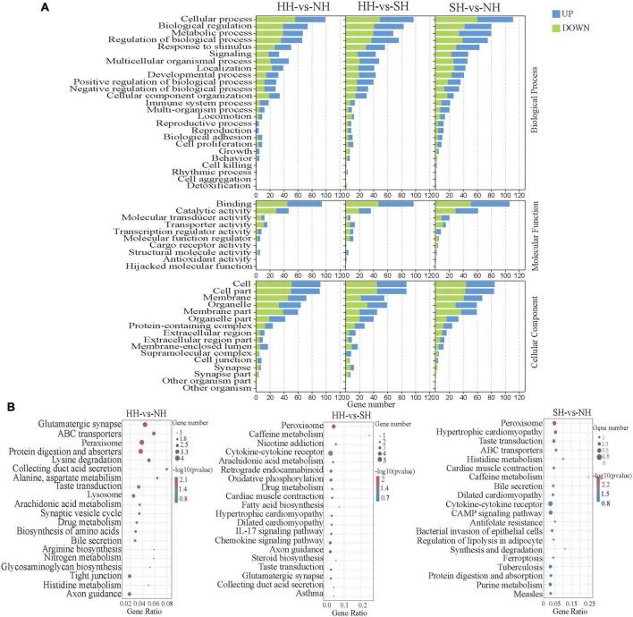 https://cdn.ncbi.nlm.nih.gov/pmc/blobs/f463/9403842/80235f166f68/fnut-09-967985-g002.jpg