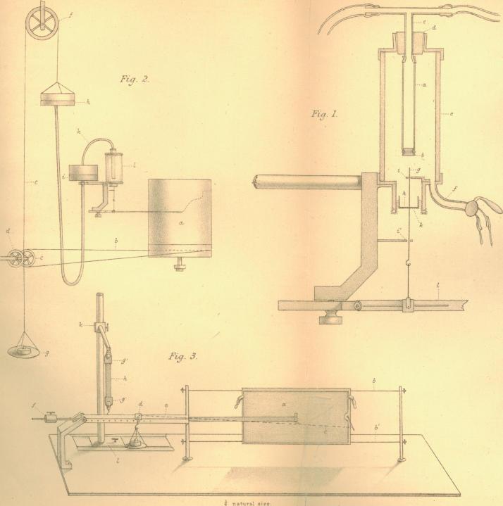 https://cdn.ncbi.nlm.nih.gov/pmc/blobs/f464/1484813/af5d30846956/jphysiol02465-0067-a.jpg