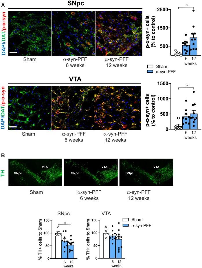 https://cdn.ncbi.nlm.nih.gov/pmc/blobs/f467/8677552/664230520a8d/awab242f2.jpg