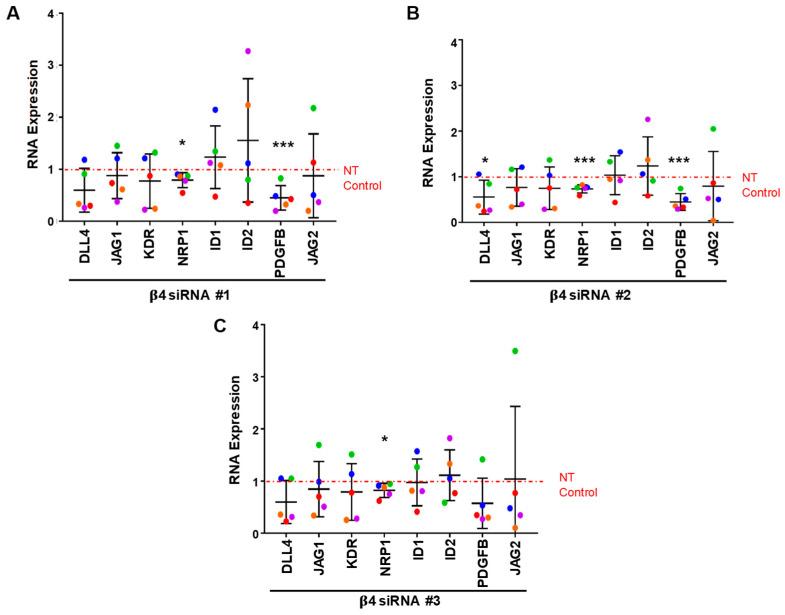 https://cdn.ncbi.nlm.nih.gov/pmc/blobs/f467/8909174/8ef881ca0151/cells-11-00816-g005.jpg