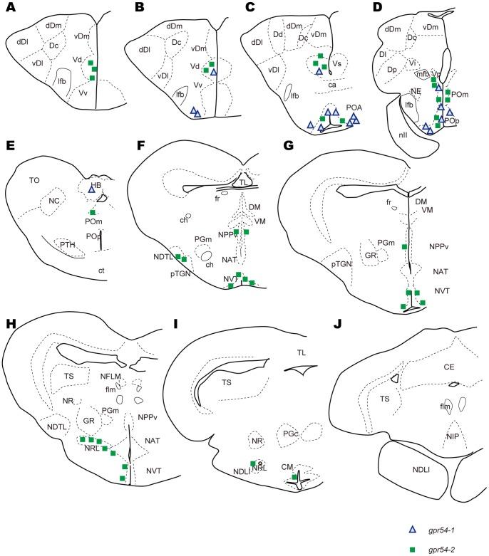 https://cdn.ncbi.nlm.nih.gov/pmc/blobs/f469/3636218/f0933e2149c7/pone.0062776.g004.jpg